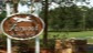 Foxwood Country Club
